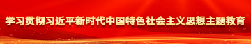 鲜肉被艹屁眼学习贯彻习近平新时代中国特色社会主义思想主题教育